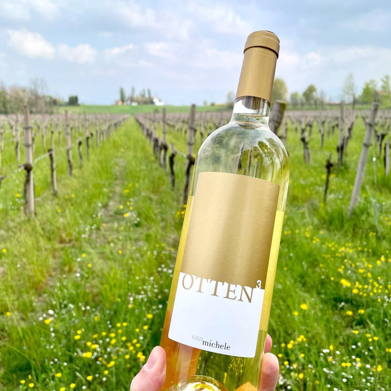 OTTEN:5